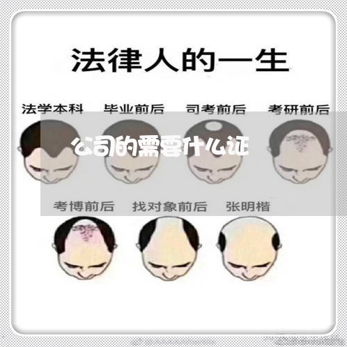 公司的需要什么证 公司的需要什么证