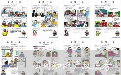 公司知识产权法务 公司知识产权法务