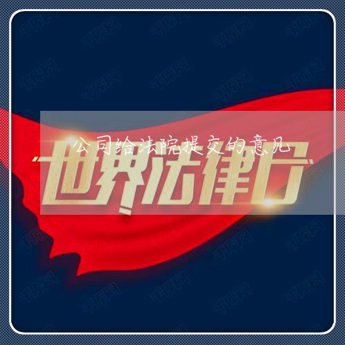 公司给法院提交的意见