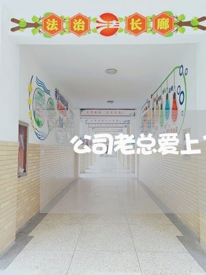 公司老总爱上了法律顾问 公司老总爱上了法律顾问