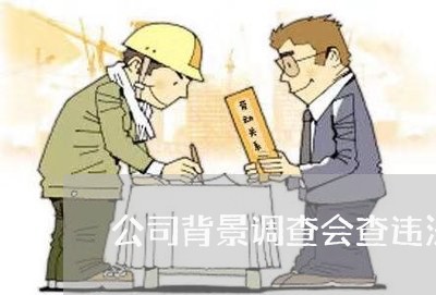 公司背景调查会查违法记录 公司背景调查会查违法记录