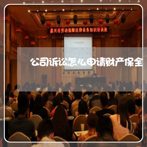 公司诉讼怎么申请财产保全