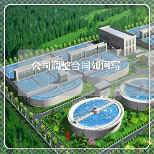 公司调整合同如何写/2023011638404 公司调整合同如何写/2023011638404