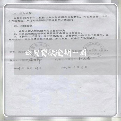 公司贷款逾期一周