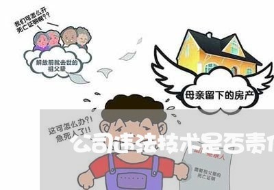 公司违法技术是否责任