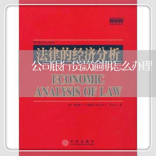 公司银行贷款逾期怎么办理