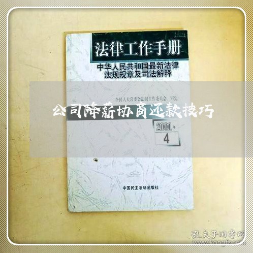 公司降薪协商还款技巧/2023110795827