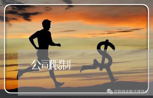 公司限制
