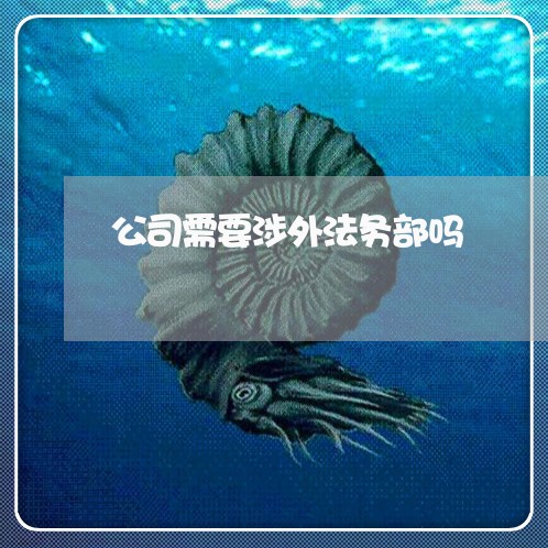 公司需要涉外法务部吗 公司需要涉外法务部吗