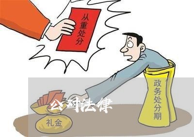 公对法律