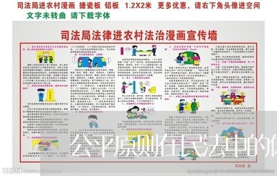 公平原则在民法中的体现和作用