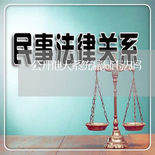 公开他人系统漏洞违法吗