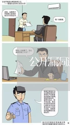 公开漏洞违法