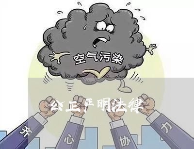公正严明法律 公正严明法律