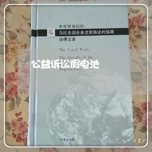 公益诉讼假电池 公益诉讼假电池