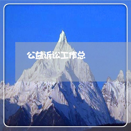 公益诉讼工作总