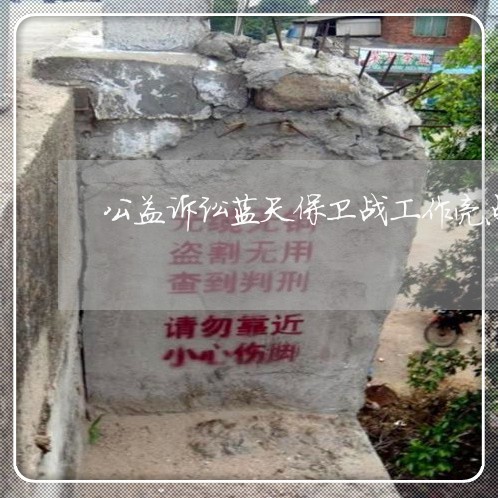 公益诉讼蓝天保卫战工作亮点 公益诉讼蓝天保卫战工作亮点