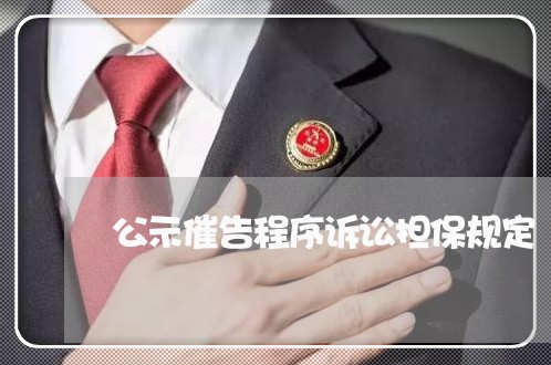公示催告程序诉讼担保规定 公示催告程序诉讼担保规定