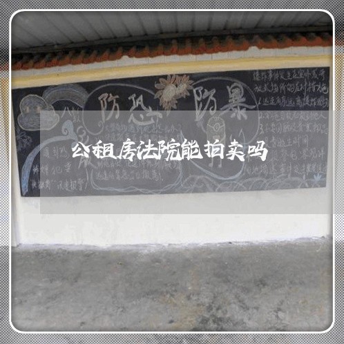 公租房法院能拍卖吗