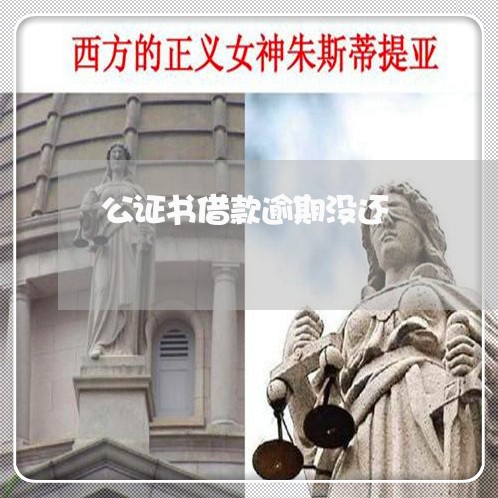 公证书借款逾期没还