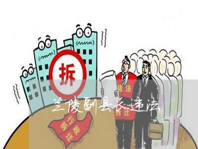 兰陵副县长违法