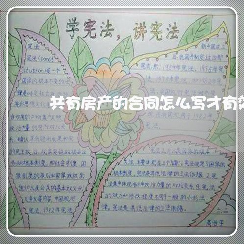 共有房产的合同怎么写才有效/2023060394946