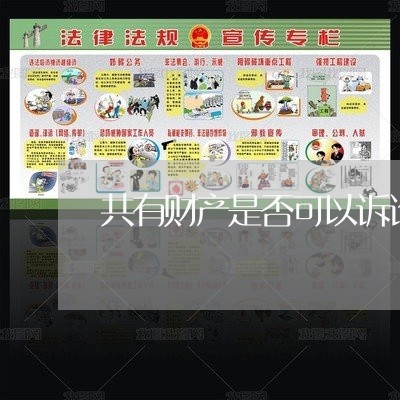 共有财产是否可以诉讼保全