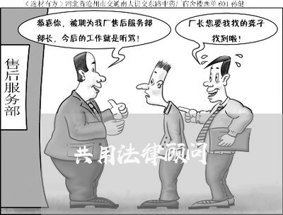 共用法律顾问 共用法律顾问