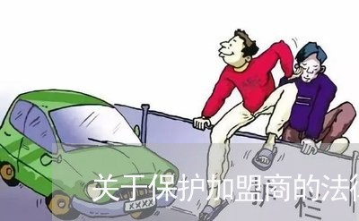 关于保护加盟商的法律条文