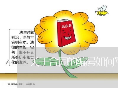 关于合同的编号如何写/2023022736340 关于合同的编号如何写/2023022736340