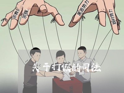 关于打假的司法