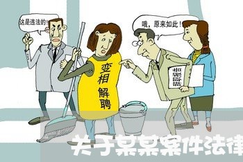 关于某某案件法律意见书模板