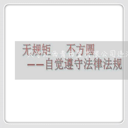 关于江西青西置有限公司违法