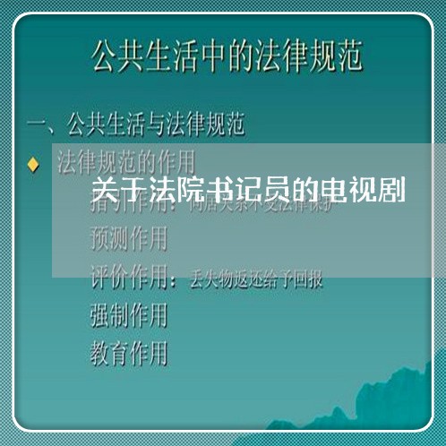 关于法院书记员的电视剧 关于法院书记员的电视剧