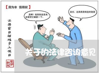 关于的法律咨询意见