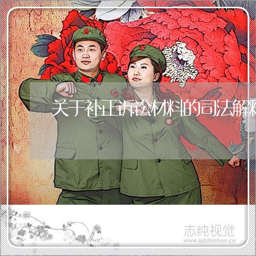 关于补正诉讼材料的司法解释
