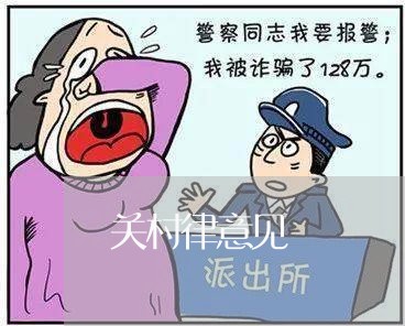 关村律意见