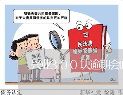 兴业300块逾期会咋样 兴业300块逾期会咋样