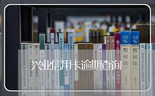 兴业信用卡逾期查询/2023031524061