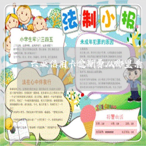 兴业信用卡逾期费从哪里看 兴业信用卡逾期费从哪里看
