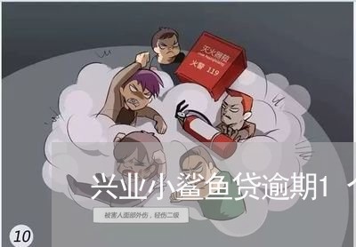 兴业小鲨鱼贷逾期1个月/2023022617128