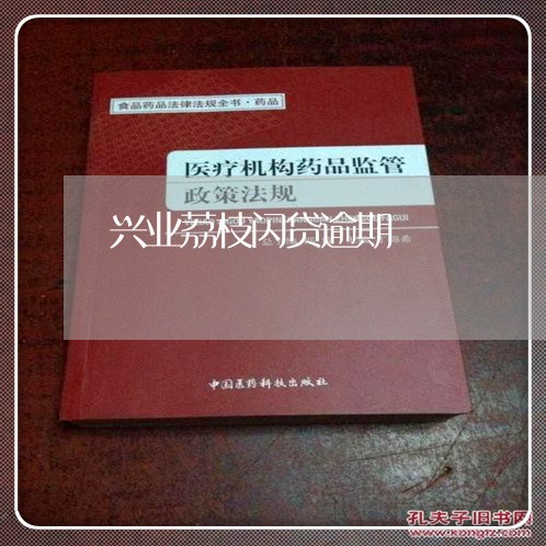 兴业荔枝闪贷逾期