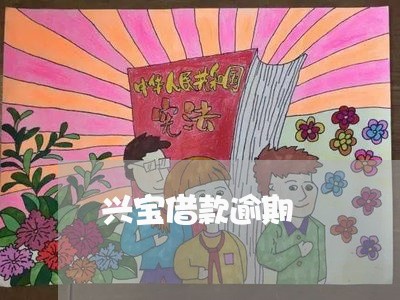 兴宝借款逾期