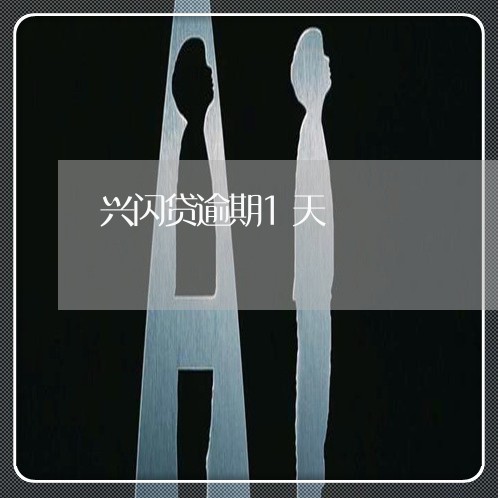 兴闪贷逾期1天