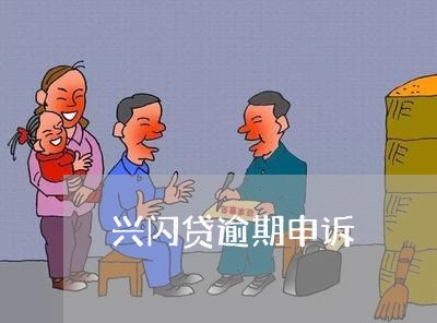 兴闪贷逾期申诉