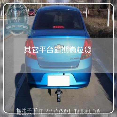 其它平台逾期微粒贷