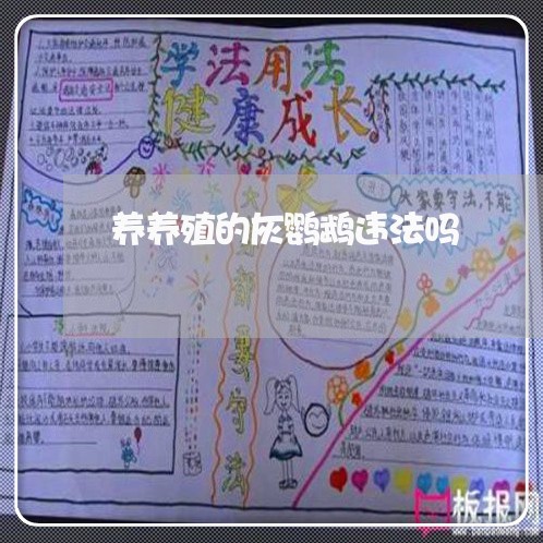 养养殖的灰鹦鹉违法吗