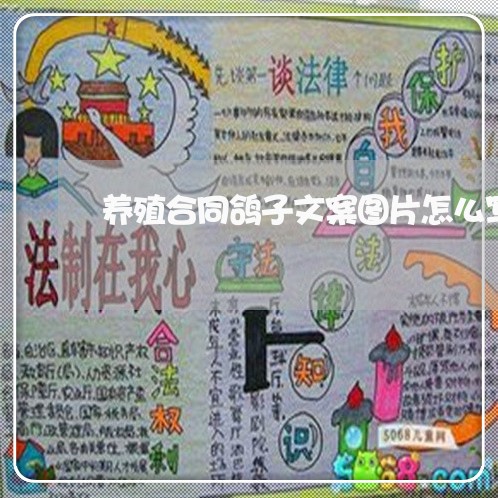 养殖合同鸽子文案图片怎么写/2023041070481