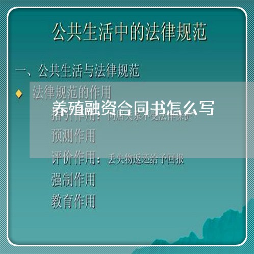 养殖融资合同书怎么写/2023041016269