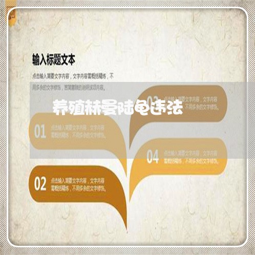 养殖赫曼陆龟违法